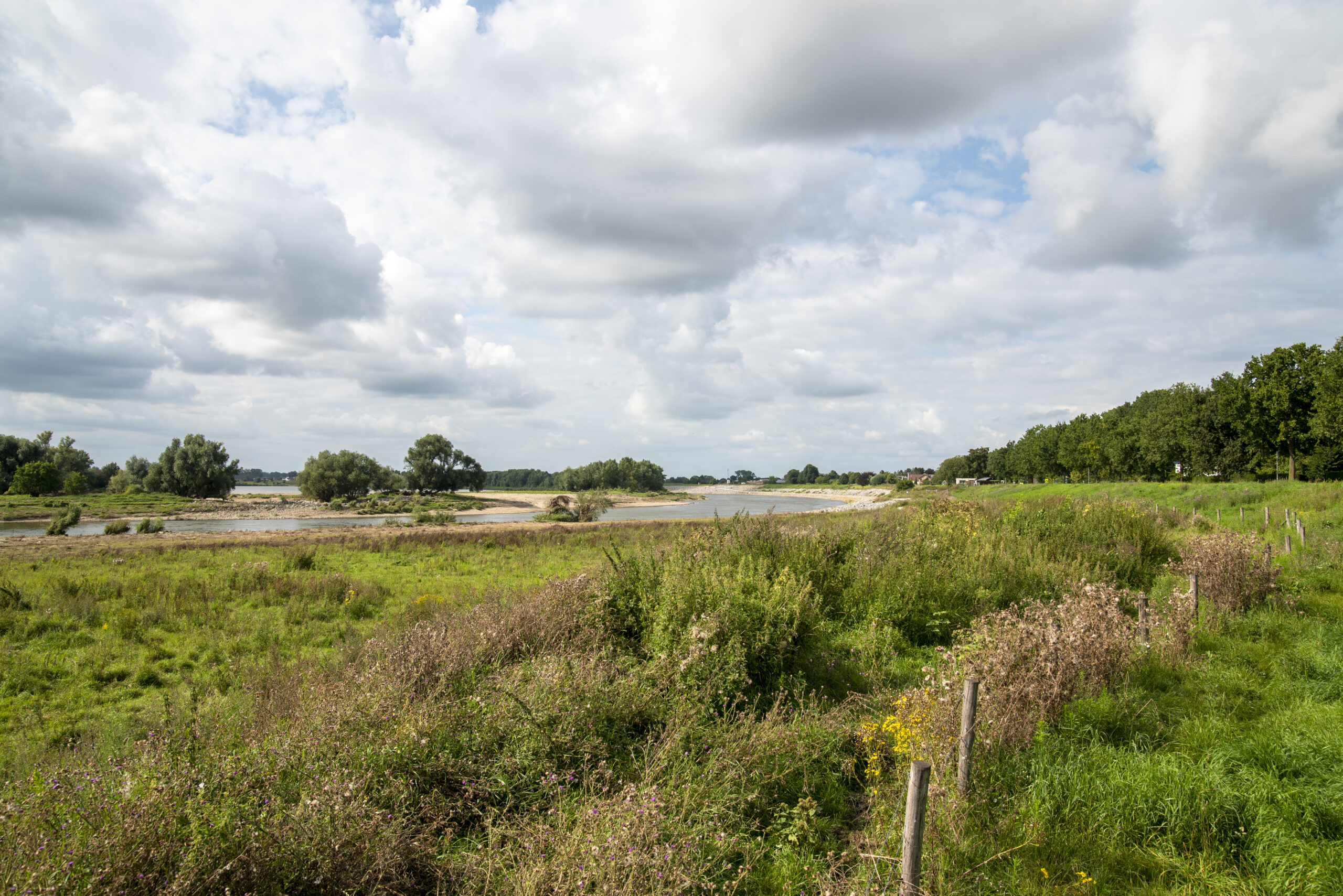 Landschap langs de Maas in Obbicht